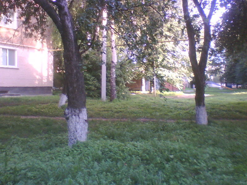 http://upforme.ru/uploads/001a/9f/a0/11/262228.jpg