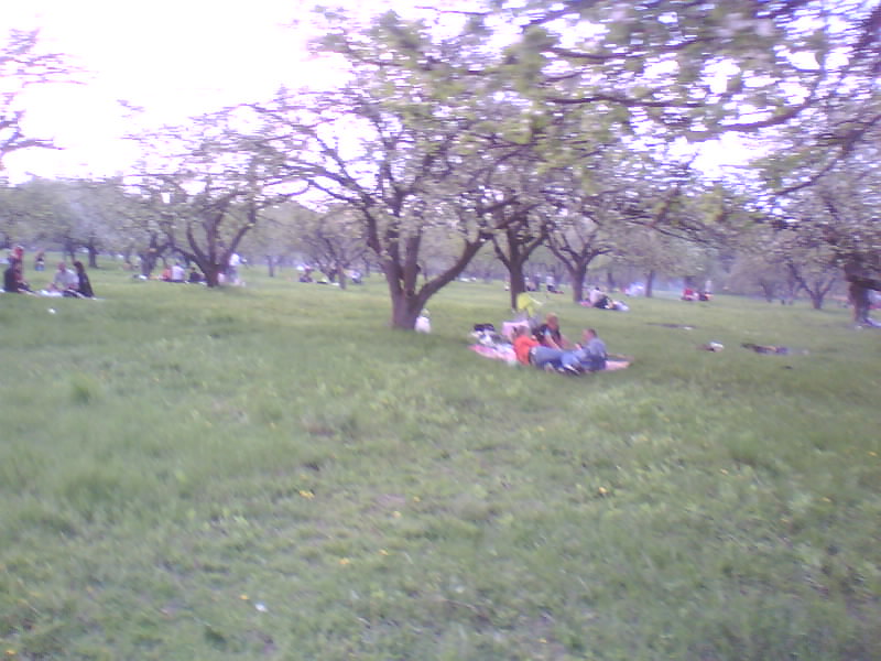 http://upforme.ru/uploads/001a/9f/a0/11/315429.jpg