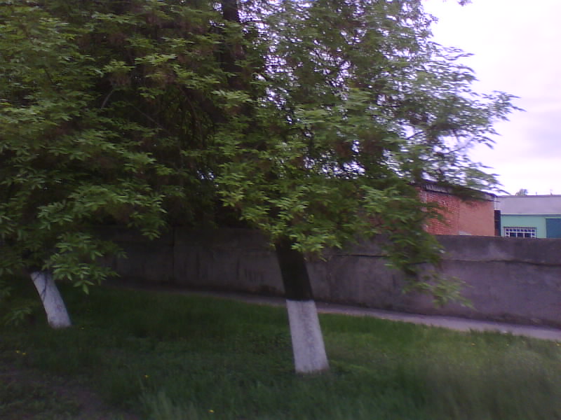 http://upforme.ru/uploads/001a/9f/a0/11/317684.jpg