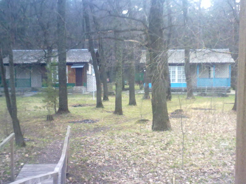 http://upforme.ru/uploads/001a/9f/a0/11/320044.jpg