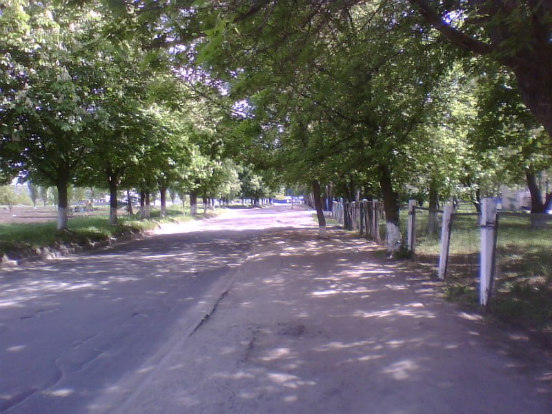 http://upforme.ru/uploads/001a/9f/a0/11/32128.jpg