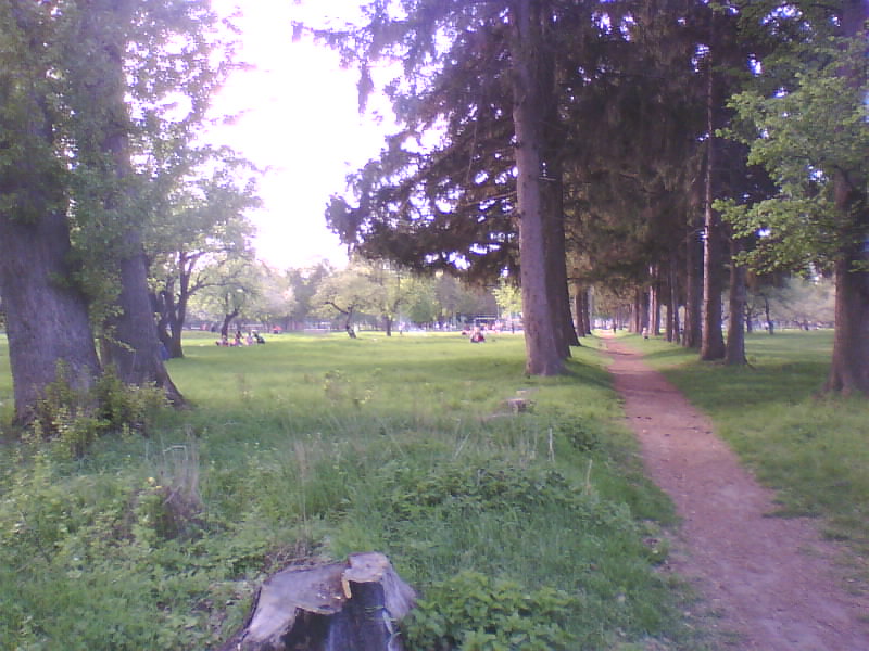 http://upforme.ru/uploads/001a/9f/a0/11/323615.jpg