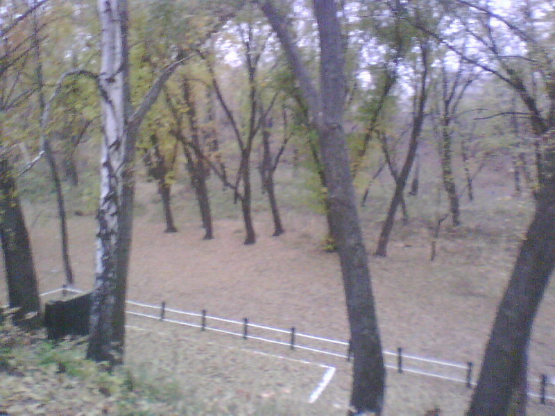 http://upforme.ru/uploads/001a/9f/a0/11/327085.jpg