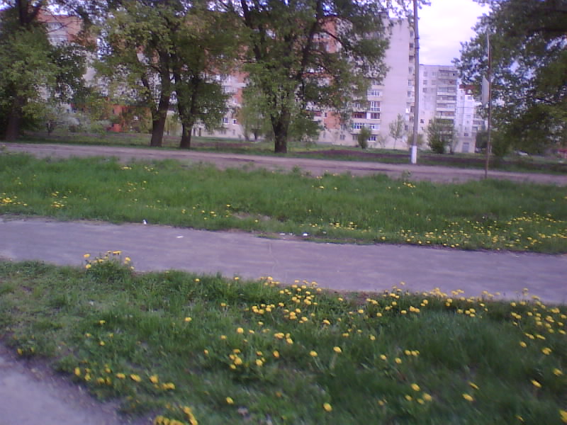 http://upforme.ru/uploads/001a/9f/a0/11/339669.jpg