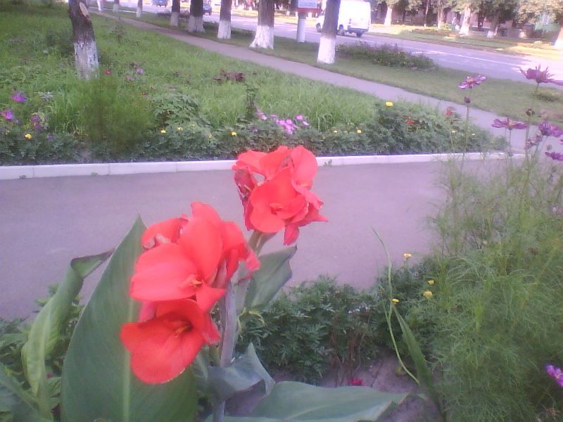 http://upforme.ru/uploads/001a/9f/a0/11/35906.jpg