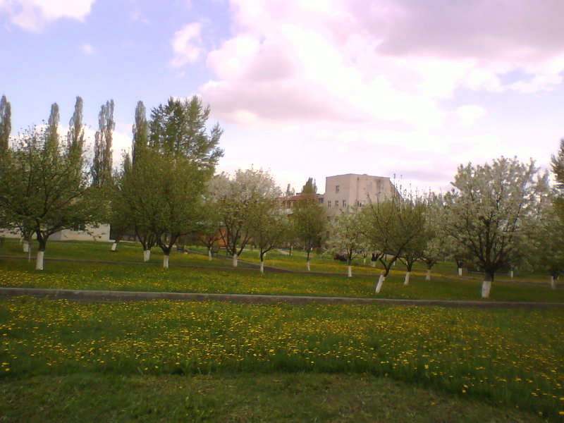 http://upforme.ru/uploads/001a/9f/a0/11/370381.jpg