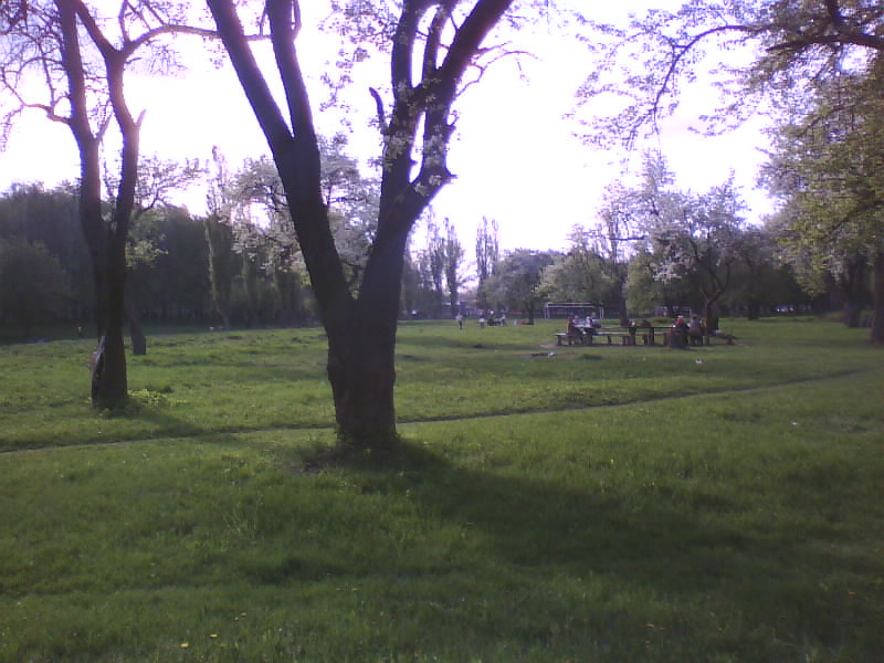 http://upforme.ru/uploads/001a/9f/a0/11/382113.jpg