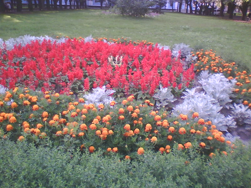 http://upforme.ru/uploads/001a/9f/a0/11/394792.jpg