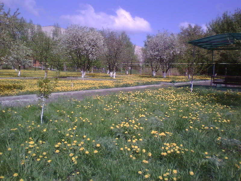 http://upforme.ru/uploads/001a/9f/a0/11/395036.jpg