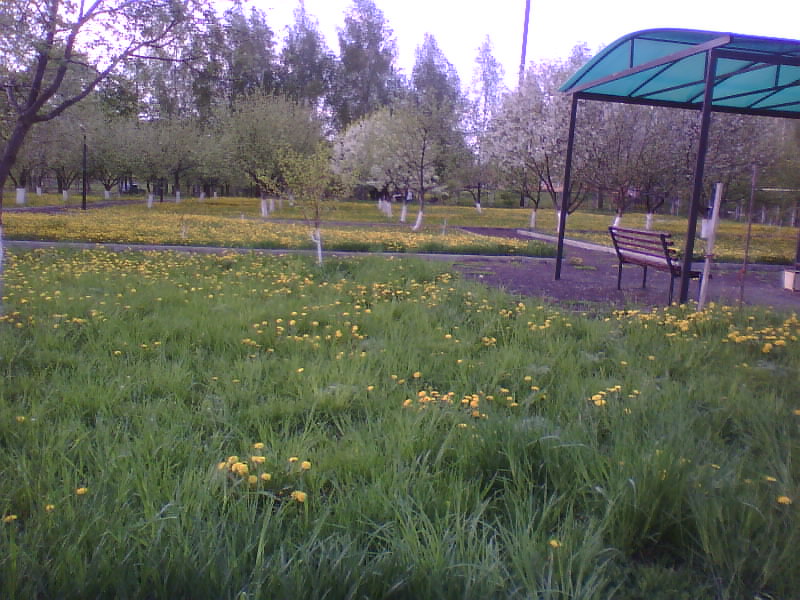 http://upforme.ru/uploads/001a/9f/a0/11/399163.jpg
