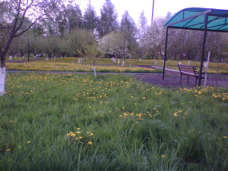 http://upforme.ru/uploads/001a/9f/a0/11/401713.jpg