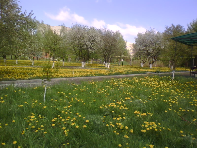 http://upforme.ru/uploads/001a/9f/a0/11/410847.jpg