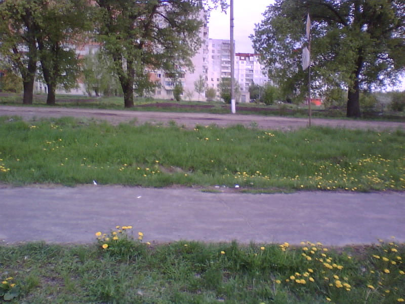http://upforme.ru/uploads/001a/9f/a0/11/424883.jpg