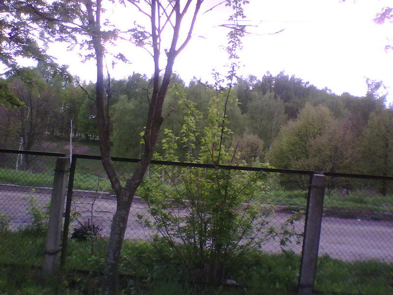 http://upforme.ru/uploads/001a/9f/a0/11/425820.jpg