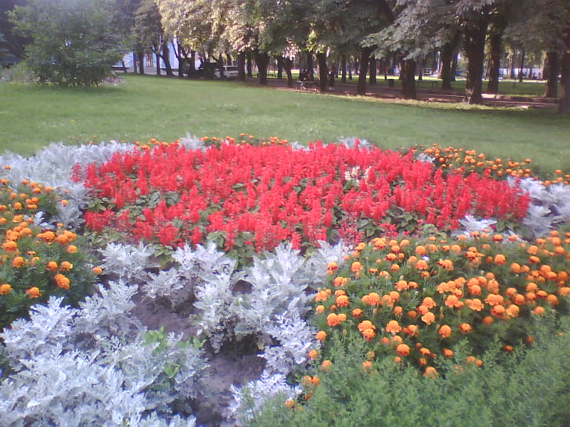 http://upforme.ru/uploads/001a/9f/a0/11/425873.jpg