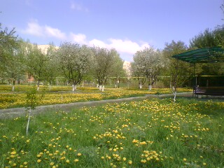 http://upforme.ru/uploads/001a/9f/a0/11/431029.jpg