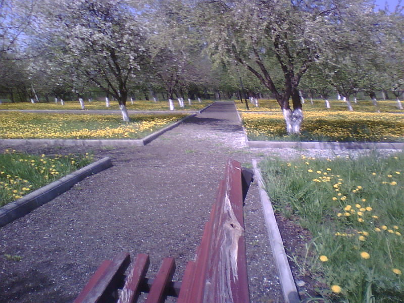 http://upforme.ru/uploads/001a/9f/a0/11/432500.jpg