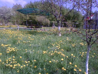 http://upforme.ru/uploads/001a/9f/a0/11/452051.jpg