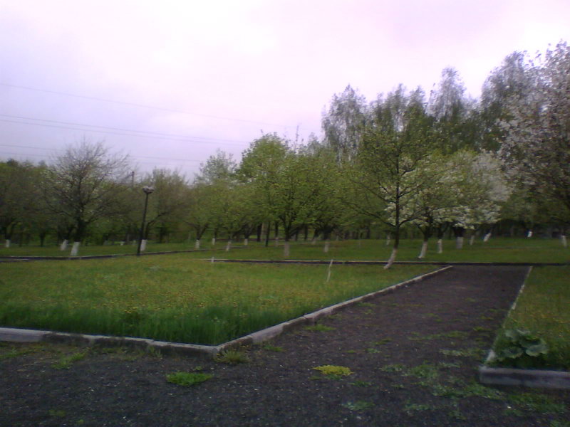 http://upforme.ru/uploads/001a/9f/a0/11/45629.jpg
