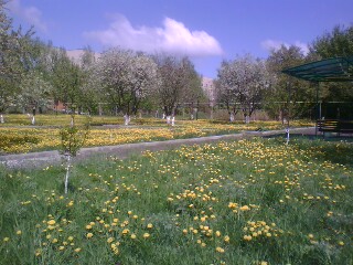 http://upforme.ru/uploads/001a/9f/a0/11/463435.jpg