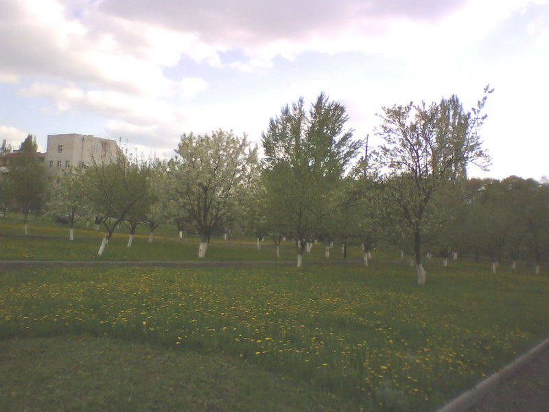 http://upforme.ru/uploads/001a/9f/a0/11/489283.jpg