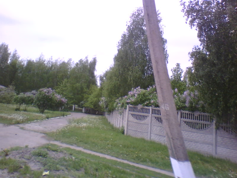 http://upforme.ru/uploads/001a/9f/a0/11/501332.jpg