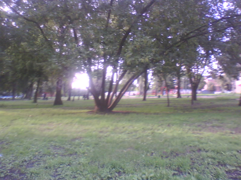 http://upforme.ru/uploads/001a/9f/a0/11/50969.jpg