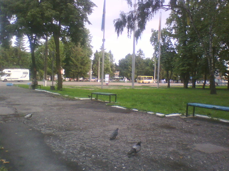 http://upforme.ru/uploads/001a/9f/a0/11/53566.jpg