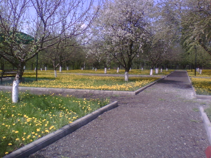 http://upforme.ru/uploads/001a/9f/a0/11/540512.jpg