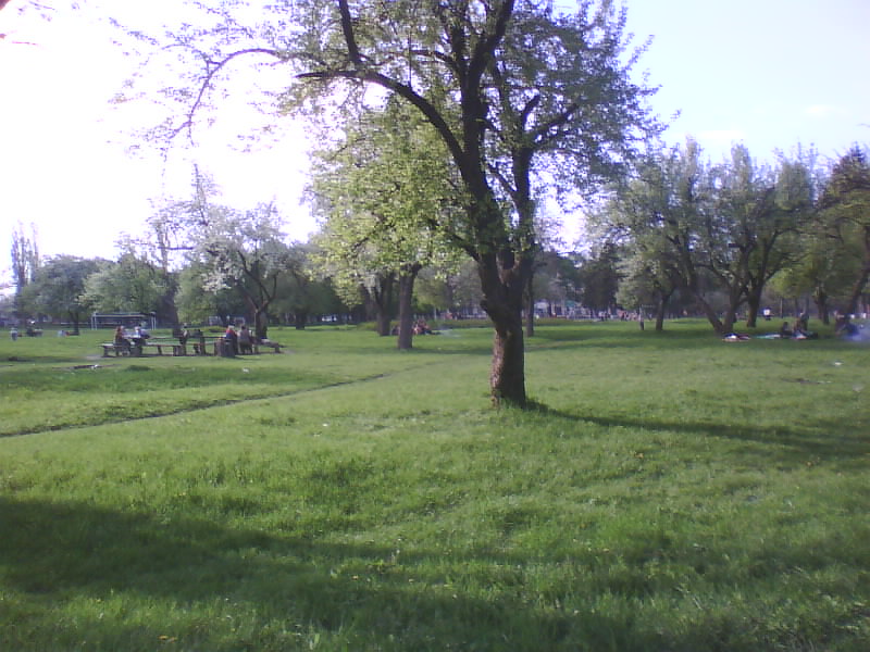 http://upforme.ru/uploads/001a/9f/a0/11/541945.jpg