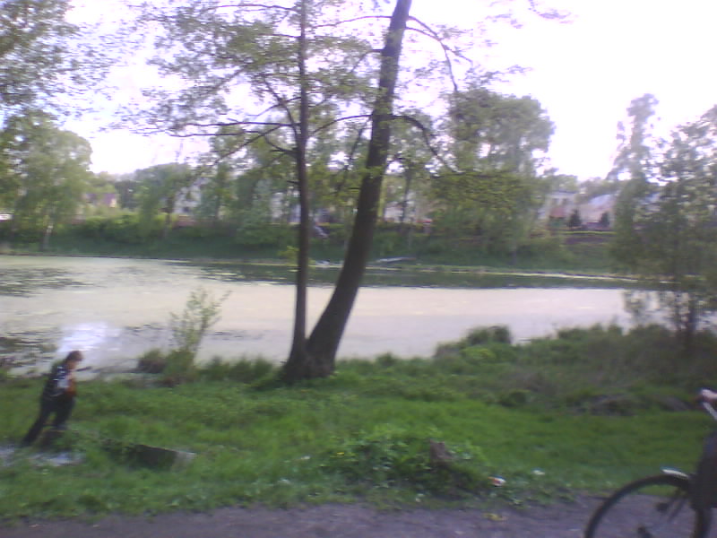 http://upforme.ru/uploads/001a/9f/a0/11/550140.jpg
