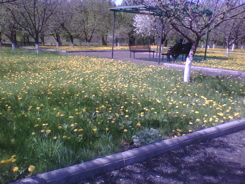 http://upforme.ru/uploads/001a/9f/a0/11/562347.jpg