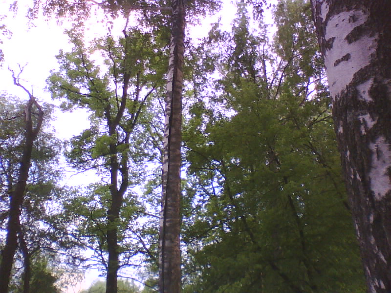 http://upforme.ru/uploads/001a/9f/a0/11/566357.jpg