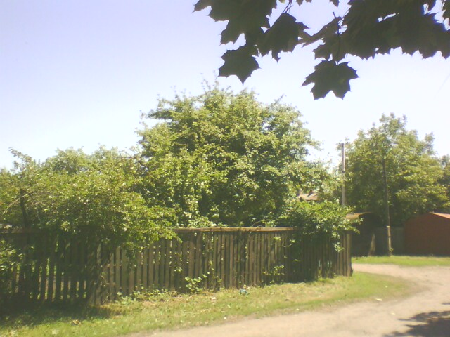 http://upforme.ru/uploads/001a/9f/a0/11/570311.jpg