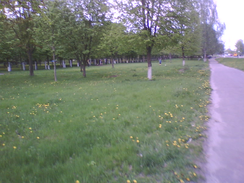 http://upforme.ru/uploads/001a/9f/a0/11/572928.jpg