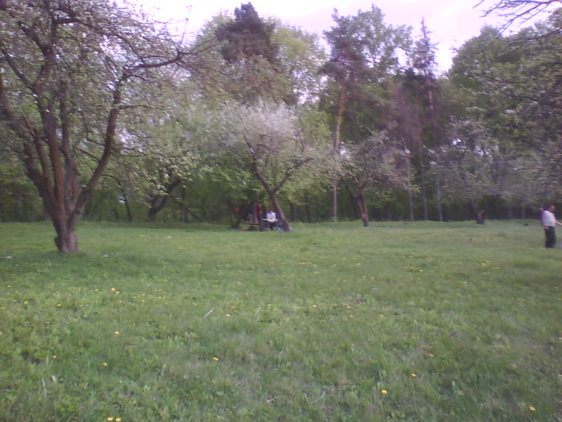 http://upforme.ru/uploads/001a/9f/a0/11/575272.jpg