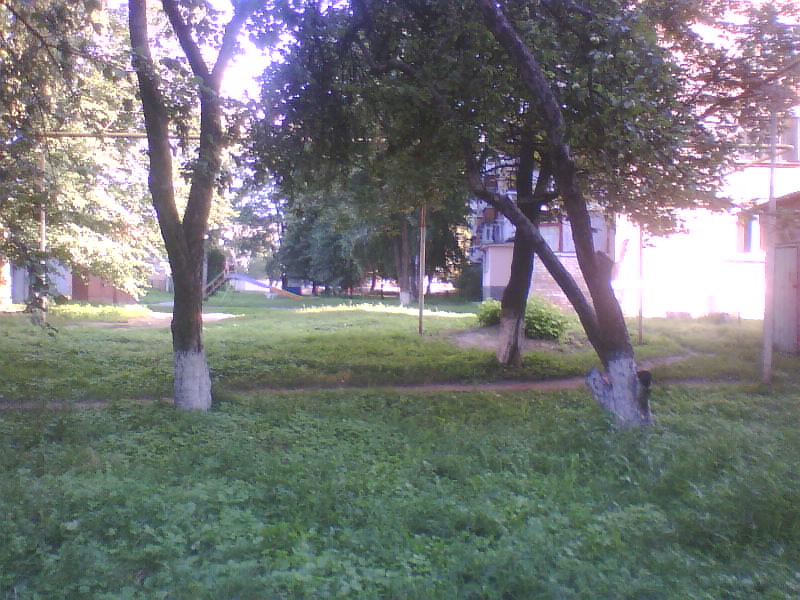 http://upforme.ru/uploads/001a/9f/a0/11/587886.jpg