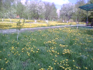 http://upforme.ru/uploads/001a/9f/a0/11/596459.jpg