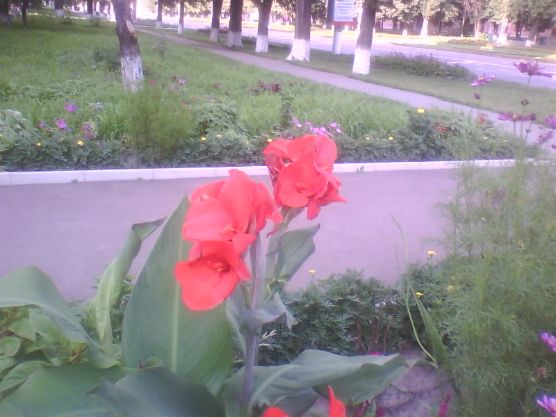 http://upforme.ru/uploads/001a/9f/a0/11/606307.jpg