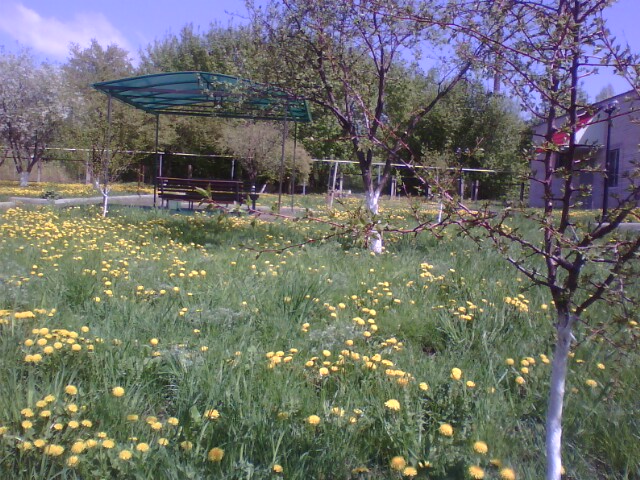 http://upforme.ru/uploads/001a/9f/a0/11/615496.jpg