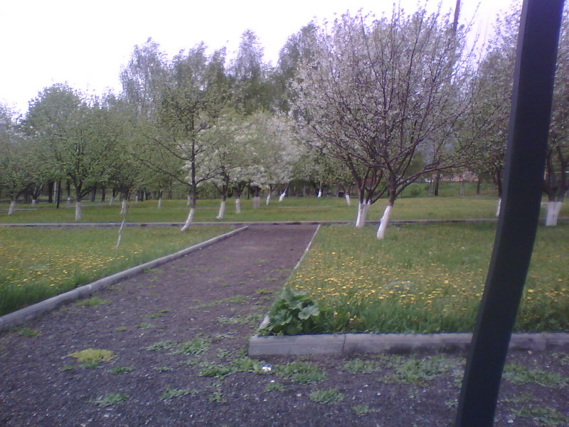 http://upforme.ru/uploads/001a/9f/a0/11/620206.jpg