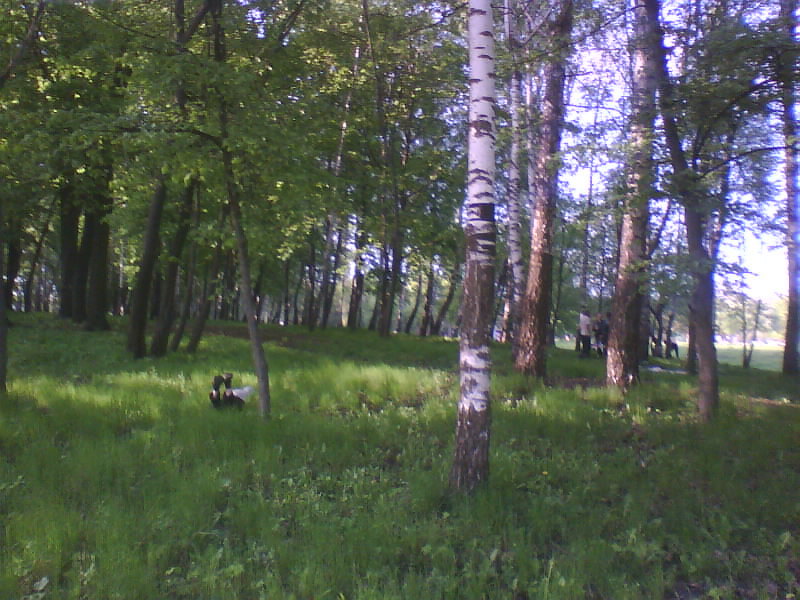 http://upforme.ru/uploads/001a/9f/a0/11/623618.jpg