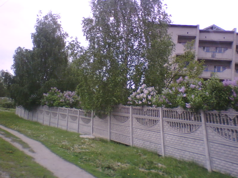 http://upforme.ru/uploads/001a/9f/a0/11/635181.jpg