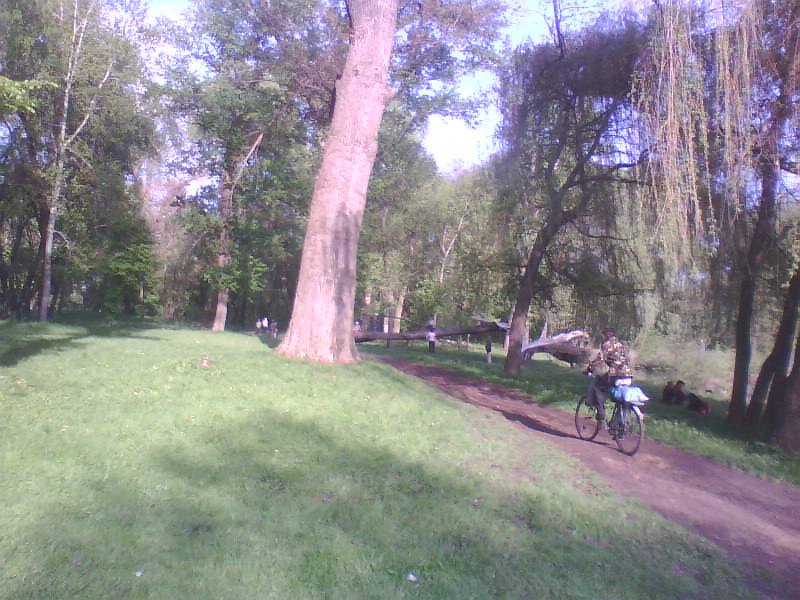 http://upforme.ru/uploads/001a/9f/a0/11/64144.jpg