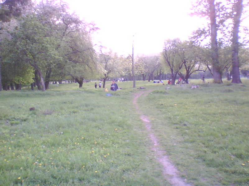 http://upforme.ru/uploads/001a/9f/a0/11/643131.jpg