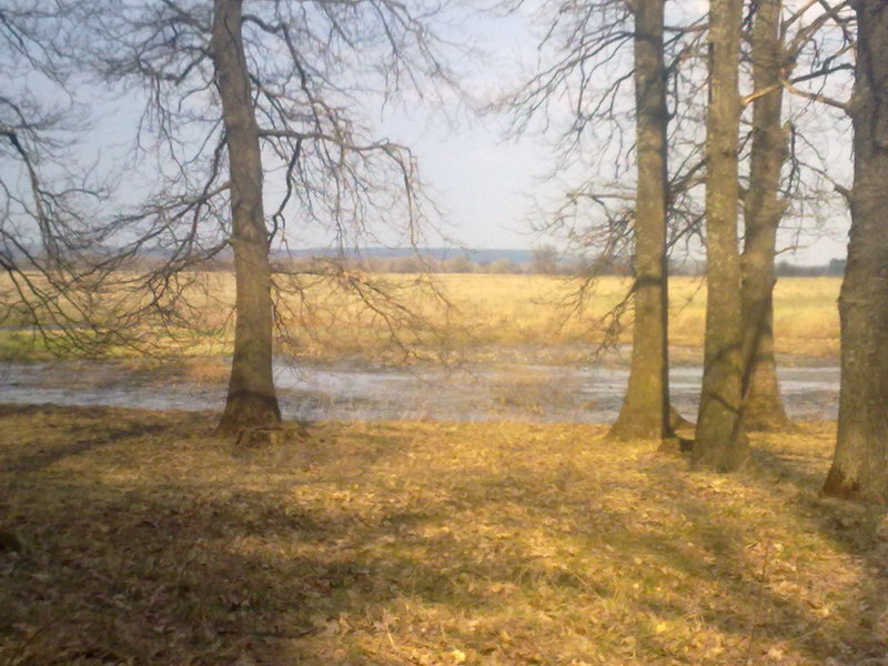 http://upforme.ru/uploads/001a/9f/a0/11/643979.jpg