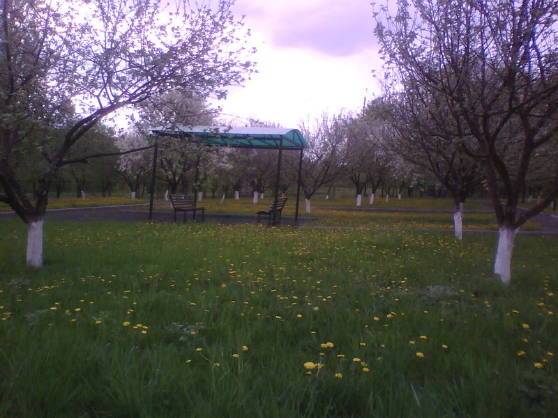 http://upforme.ru/uploads/001a/9f/a0/11/646503.jpg