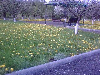http://upforme.ru/uploads/001a/9f/a0/11/667880.jpg