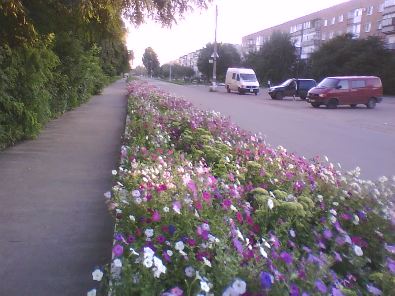 http://upforme.ru/uploads/001a/9f/a0/11/670556.jpg