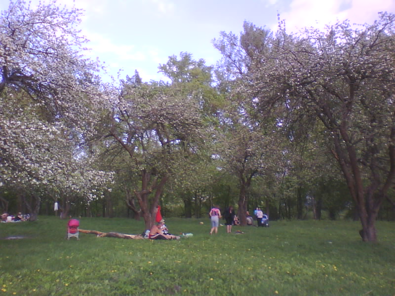 http://upforme.ru/uploads/001a/9f/a0/11/686064.jpg